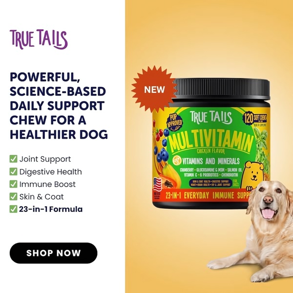 A square-format ad creative featuring a clean split-layout design, showcasing a dog multivitamin container alongside a happy dog and a clear benefit list.